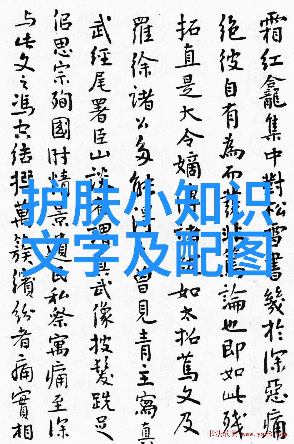 聊城市召开化妆品进货查验电子化记录专项工作会议